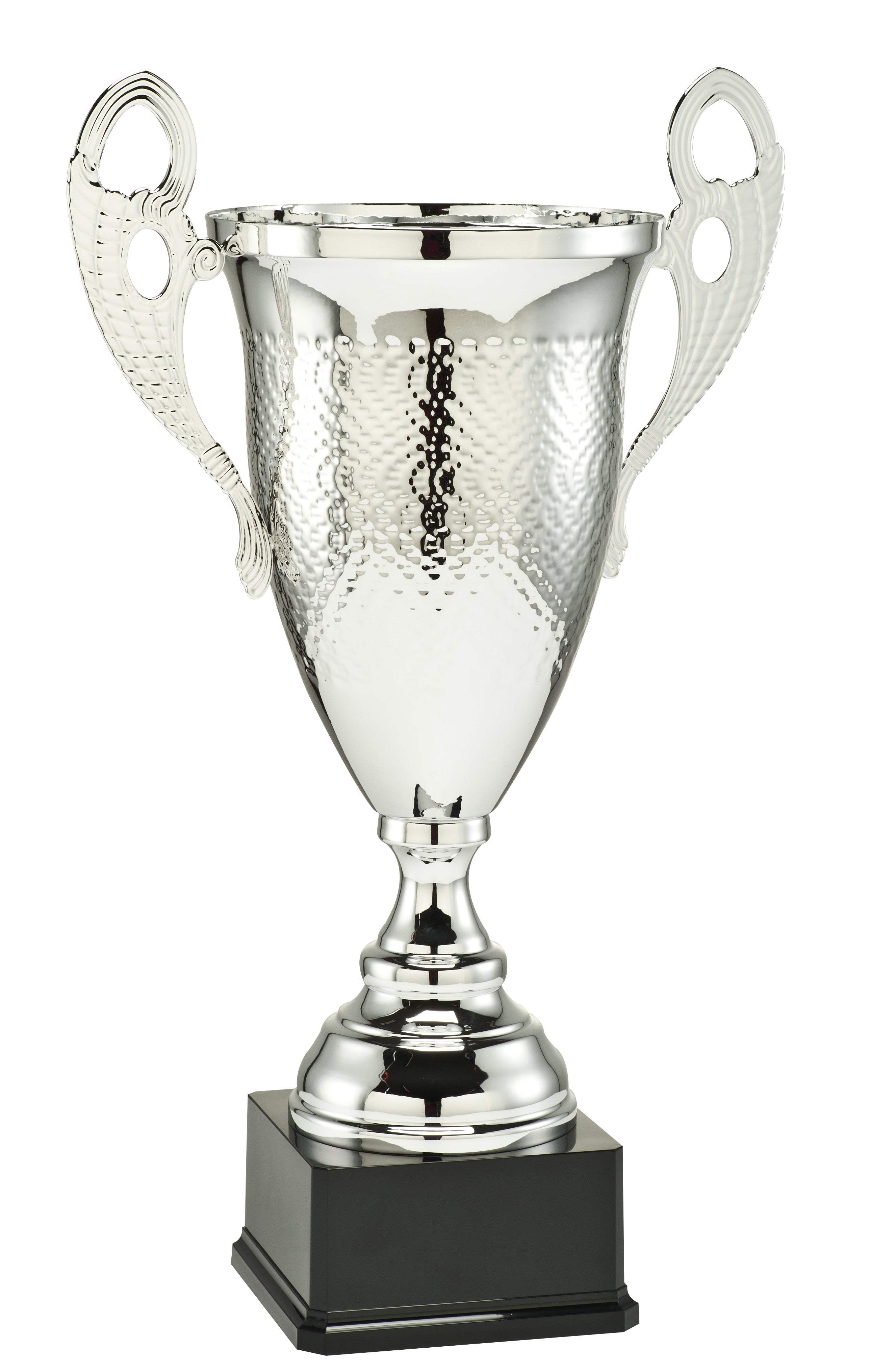 Pokal Ahrenviöl