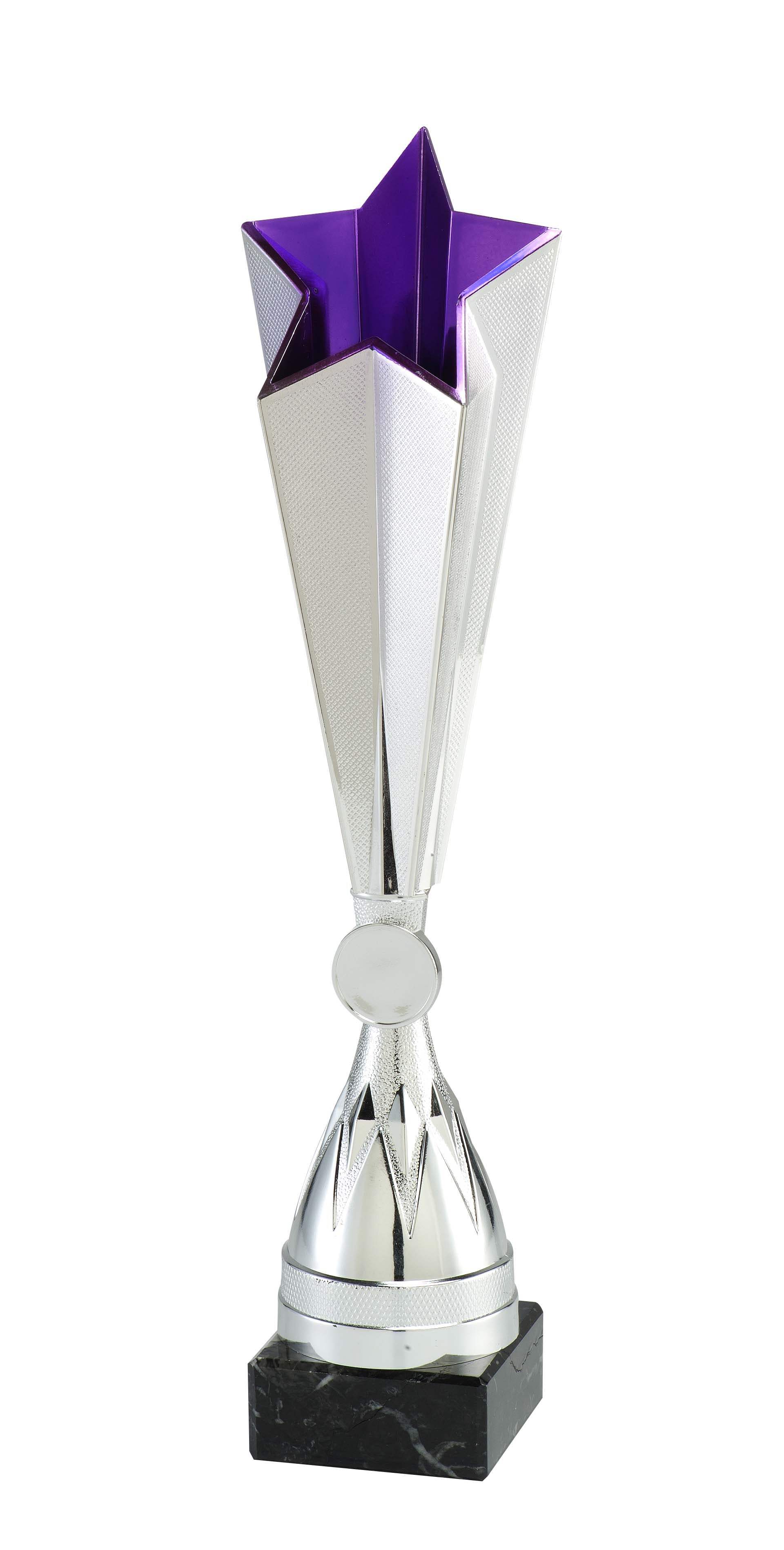 Pokal Aspach