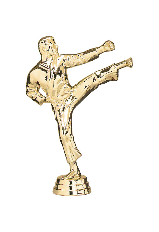 Karate Pokal-Figur Turin